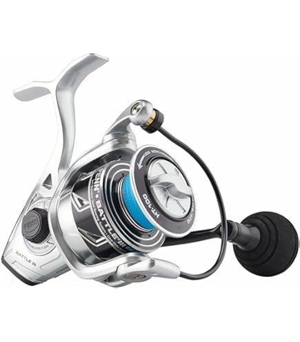 Amazon | PENN Squall II Lever Drag Fishing Reel, Size 30, Graphite